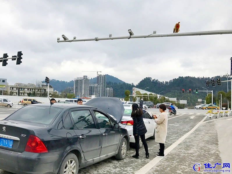 2017年3月17日报道，15日，贵州遵义，一只参加演出的马戏团猴子出逃，爬上路边的信号.jpg