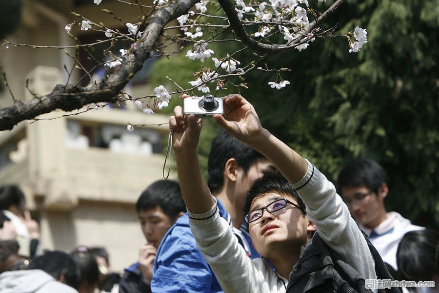 6、3月26日，武汉大学，游客拍樱花.jpg