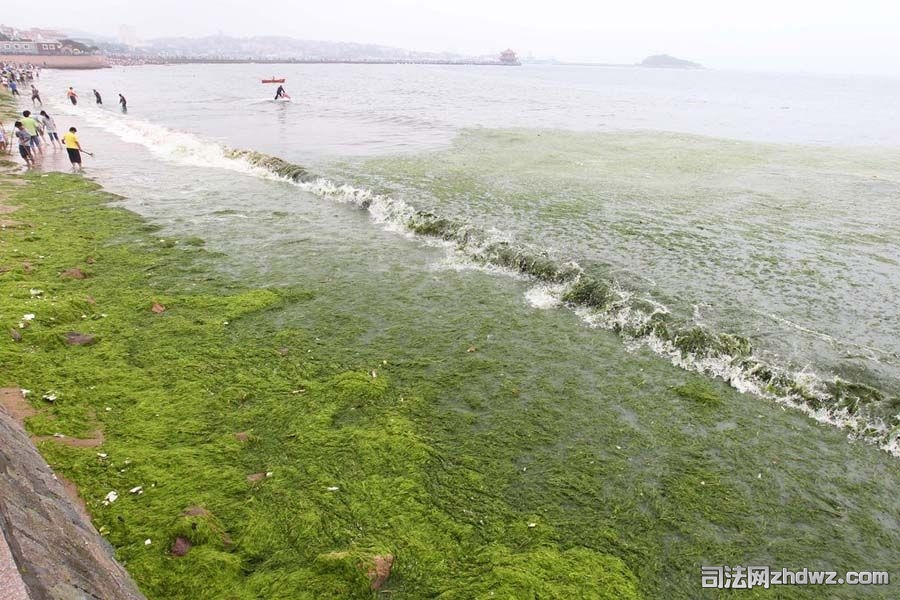 2、栈桥附近的第六海水浴场沙滩.jpg