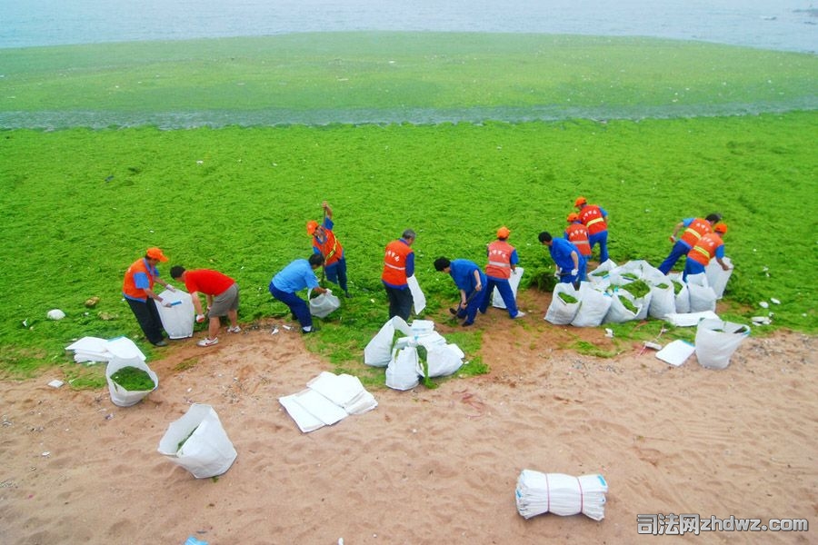 5、7月6日，青岛黄岛银沙滩的工作人员正在清理浒苔.jpg