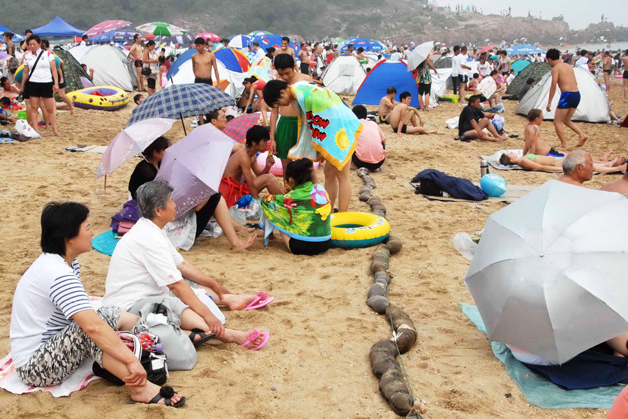 7月24日，大连付家庄海滨浴场，一条隔油带横传过沙滩上的人群.jpg