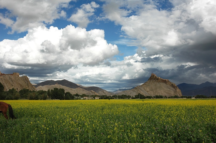 青藏高原美景.jpg